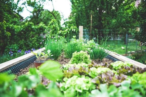 Green Landscaping