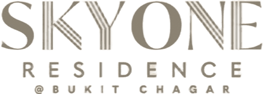 SkyOne Logo